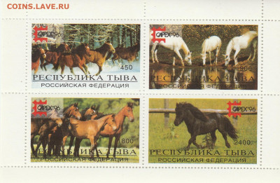 Блок: "Лошади" до 21.09. в 22.00 - IMG_20200919_0003