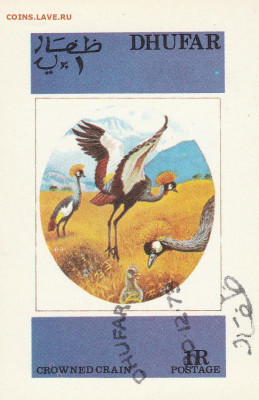 Блок: "Птица" до 21.09. в 22.00 - IMG_20200919_0007