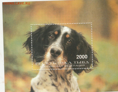 Блок: "Собака" до 21.09. в 22.00 - IMG_20200919_0008