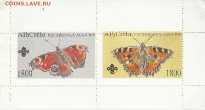 Блок: "Бабочки" до 21.09. в 22.00 - IMG_20200919_0008