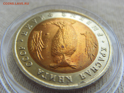 Красная Книга- 5 рублей Филин 1991 UNC до 25.09.20 г. - SDC17826.JPG