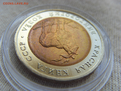 Красная Книга- 5 рублей Козел 1991 UNC до 25.09.20 г. - SDC17816.JPG