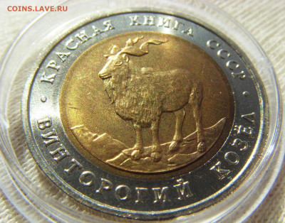 Красная Книга- 5 рублей Козел 1991 UNC до 25.09.20 г. - SDC17813.JPG