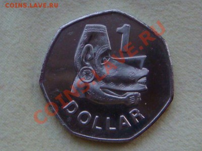 -v- Соломоновы о-ва 50ц и 1 доллар 2005г. - DSC04416.JPG
