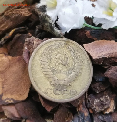 5 коп., 1969 г., старт 100 р., до 26.09, в 21:00 - IMG_20200921_142010