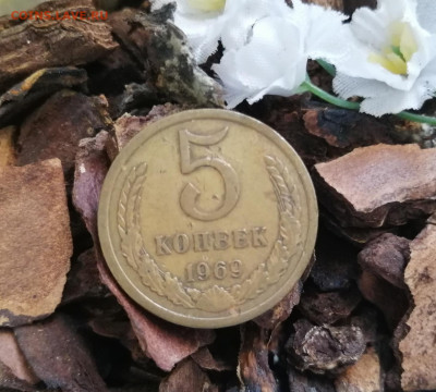 5 коп., 1969 г., старт 100 р., до 26.09, в 21:00 - IMG_20200921_141933