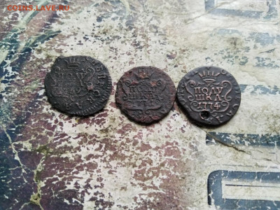 3 полушки сибирь 1769,1771,1774 до 24.09.2020 - 3пол