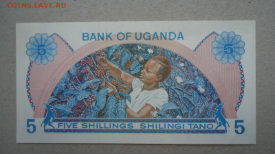 УГАНДА 5 ШИЛЛИНГОВ 1979 UNC - DSC09089.JPG