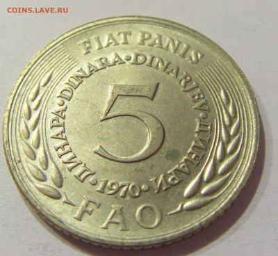 5 динар 1970 ФАО Югославия №1 28.09.2020 22:00 МСК - CIMG5675.JPG