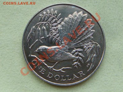 -v- Н.Зеландия 1 доллар 1980 Голубь, шайба, за 220руб. - DSC04433.JPG
