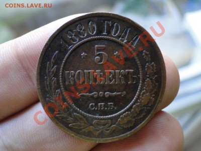 11 в 22-00 москва - 5.JPG