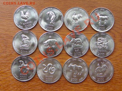 -v- Сомали 10 шиллингов 2000(12шт.) Вост.календарь - DSC04447.JPG