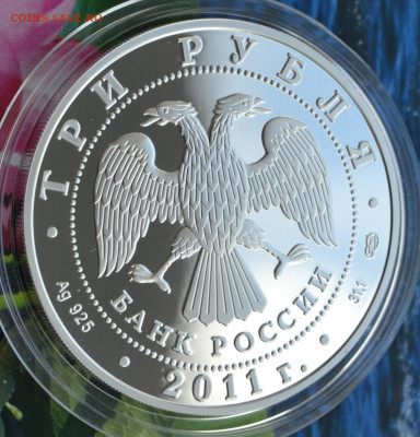 3 рубля Год Испании в России - DSC_0050.JPG