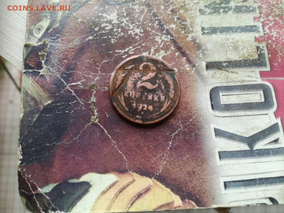 2 копейки 1924, гладкий гурт до 28.09.2020 - 1924гл 2