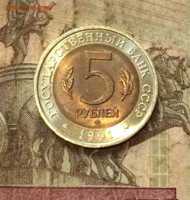 Красная книга Филин без оборота. до 29.09.20 - IMG_1594.JPG