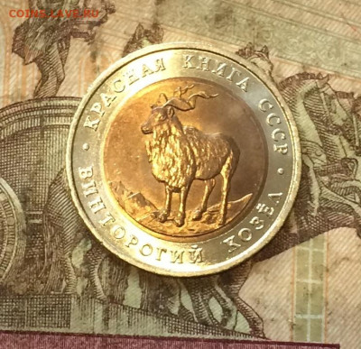 Красная книга Козел без оборота. до 29.09.20 - IMG_1597.JPG