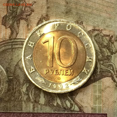 Красная книга Казарка без оборота. до 29.09.20 - IMG_1598.JPG