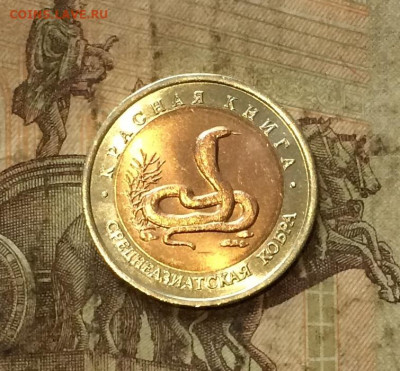 Красная книга Кобра без оборота. до 29.09.20 - IMG_1601.JPG