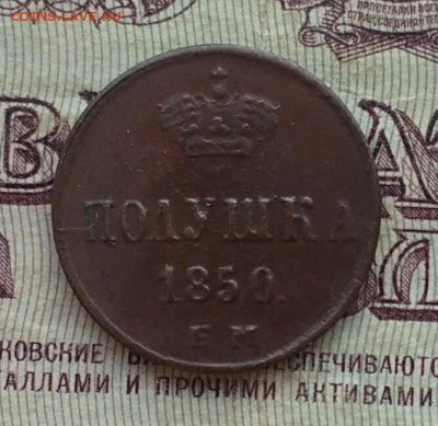 Полушка Н1 1850 ЕМ - IMG_20200925_171331