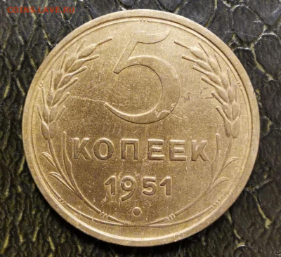 5 копеек 1951г - 2020-09-25 18-58-17.JPG