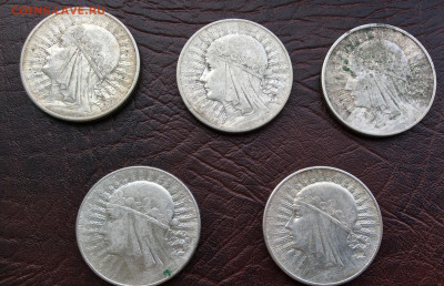 Набор из 5 монет 10 злотых Ядвига 1932 - IMG_2458.JPG