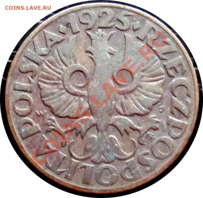 C93 Польша 5 грошей 1925 до 24.09 в 22°° - C93 5 gr 1925_2