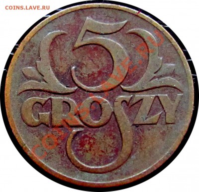 C93 Польша 5 грошей 1925 до 24.09 в 22°° - C93 5 gr 1925_1