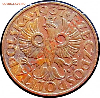 C94 Польша 2 гроша 1937 до 24.09 в 22°° - C94 2 gr 1937_2