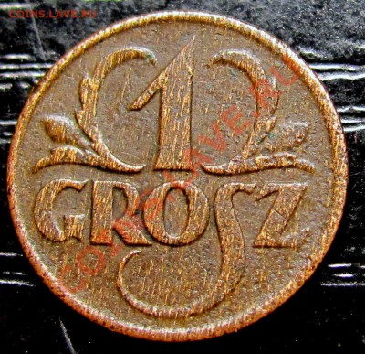 C95 Польша 1 грош 1927 до 24.09 в 22°° - C95 1 gr 1927_1