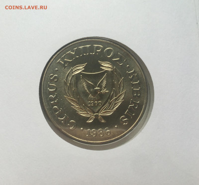 КПД Крона Шайба Кипр 1 фунт 1986 Муфлон фонд дикой природы - IMG_5501.JPG