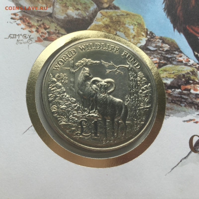 КПД Крона Шайба Кипр 1 фунт 1986 Муфлон фонд дикой природы - IMG_5497.JPG