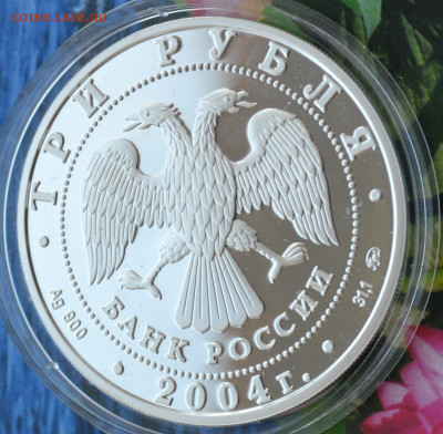 3 рубля Томск - DSC_0008.JPG