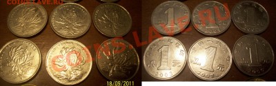 Кучка инострани (погодовка) 22.09.11 до 23:00 - 101_4946.JPG