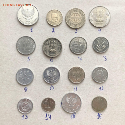 Экзотика по 3 руб, до 05.10. - GlNJ6TDveo4