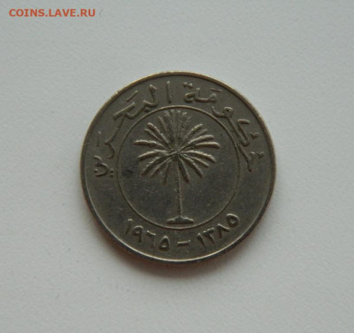 Бахрейн 100 филсов 1965 г. до 08.10.20 - DSCN1575.JPG