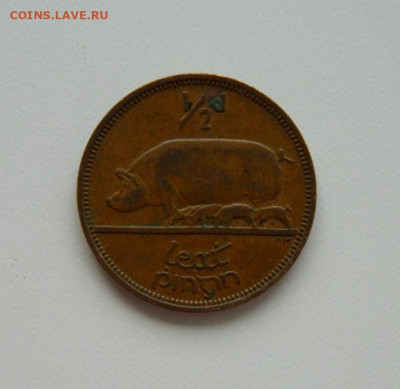 2 пенни 1964 г. (Фауна) до 08.10.20 - DSCN1605.JPG
