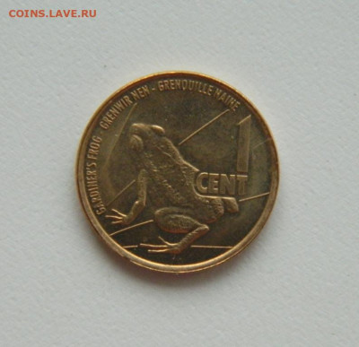 Сейшелы 1 цент 2016 г. (Фауна) без обращения до 08.10.20 - DSCN1554.JPG