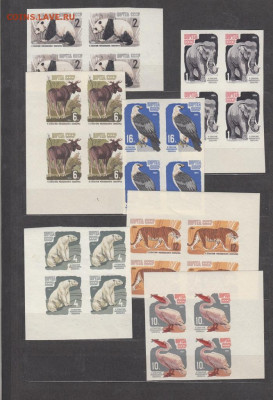 зубцовв квартах до 10 10 - 85