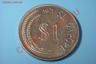 Крупные монеты (шайбы) - пополняемая - DSC00468.JPG