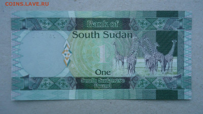ЮЖНЫЙ СУДАН 1 ФУНТ 2011 UNC - DSC00323.JPG