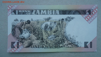 ЗАМБИЯ 1 КВАЧА 1980-1988 UNC - DSC00325.JPG