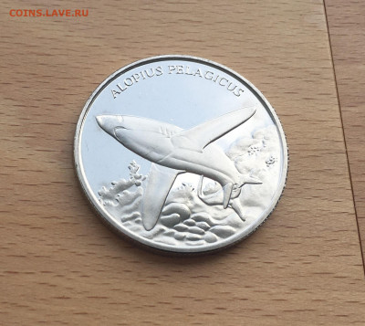 Крона Шайба Памятная медаль Жетон Пелагическая лисья акула - IMG_6114.JPG