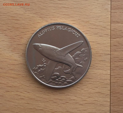 Крона Шайба Памятная медаль Жетон Пелагическая лисья акула - IMG_6109.JPG