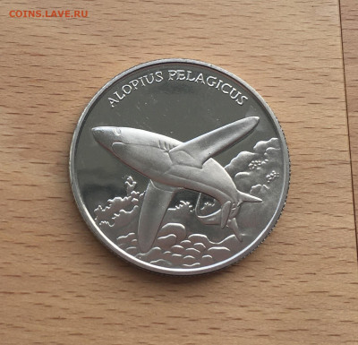Крона Шайба Памятная медаль Жетон Пелагическая лисья акула - IMG_6111.JPG