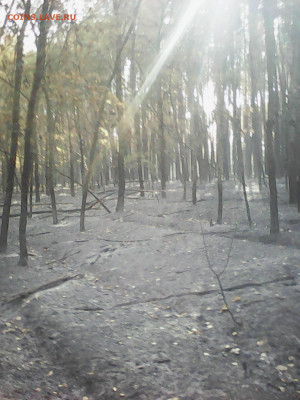 делает - прямо сейчас !!! - IMG00007