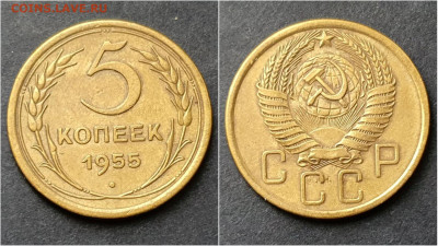 5 копеек 1955 год. До 15.10 - IMG_20200930_211011