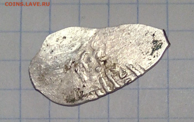 Чешуя-определение,оценка. - IMG_20201010_112757