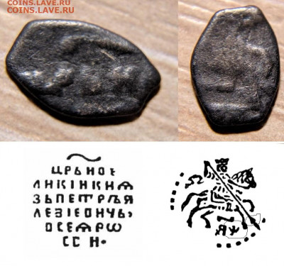 2 чешуйки на более точную атрибуцию - 2_chesh