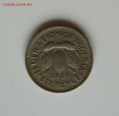 Британская Нигерия 6 пенсов 1959 г. до 19.10.20 - DSCN1799.JPG
