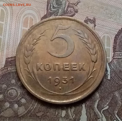 5 копеек 1931. До 17.10.20 в 22.00 - 20201015_133034